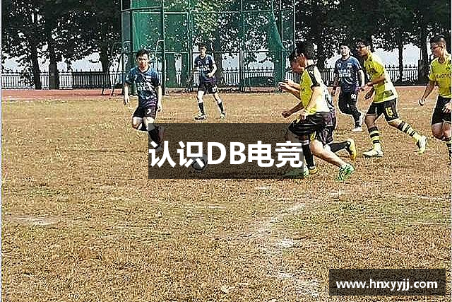 认识DB电竞